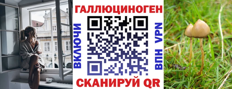 Купить закладки  Кизилюрт  Псилоцибиновые грибы прущие грибы 